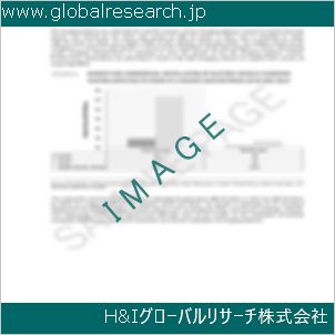 グローバルリサーチ調査資料のイメージ